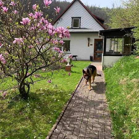 Ferienhaus Andrea Am Bodetal Treseburg Eksteriør billede