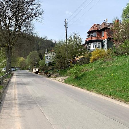 Ferienhaus Andrea Am Bodetal Treseburg Eksteriør billede