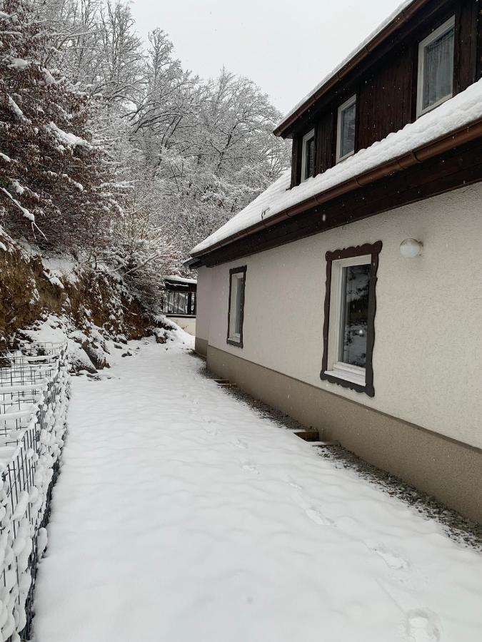 Ferienhaus Andrea Am Bodetal Treseburg Eksteriør billede