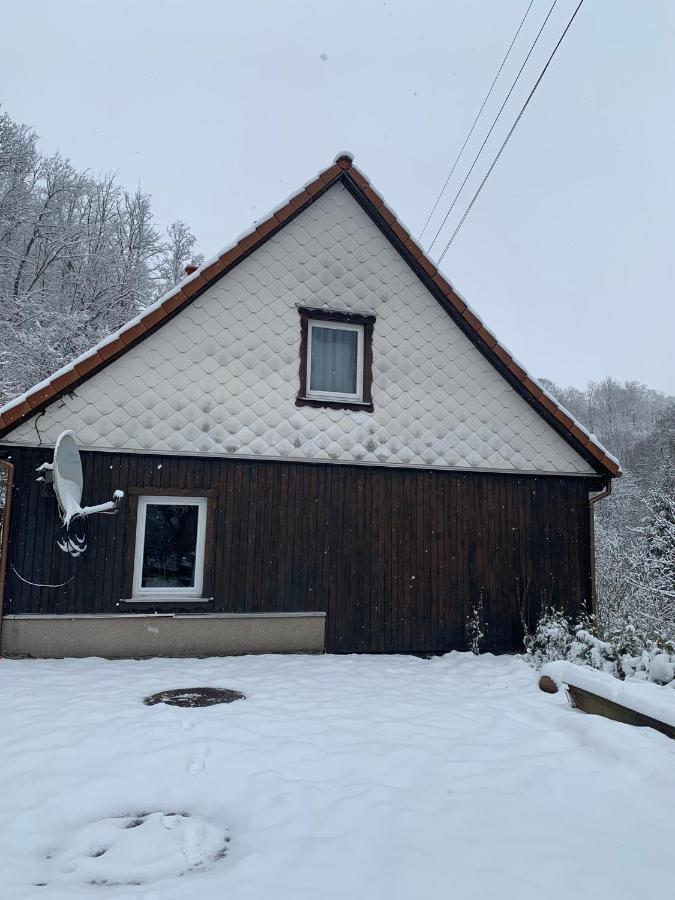 Ferienhaus Andrea Am Bodetal Treseburg Eksteriør billede