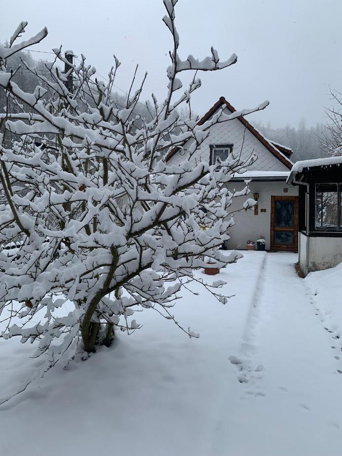 Ferienhaus Andrea Am Bodetal Treseburg Eksteriør billede