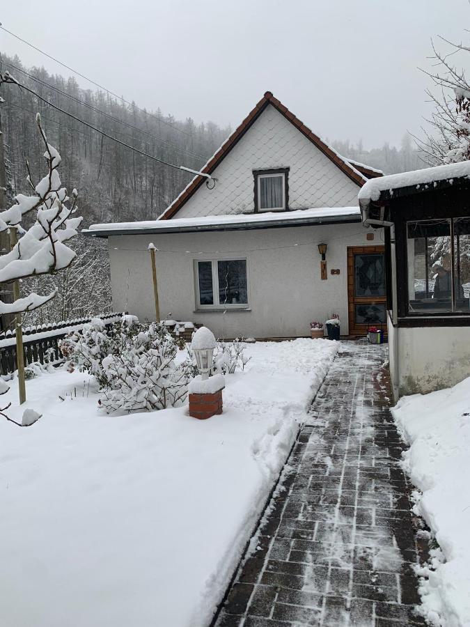 Ferienhaus Andrea Am Bodetal Treseburg Eksteriør billede