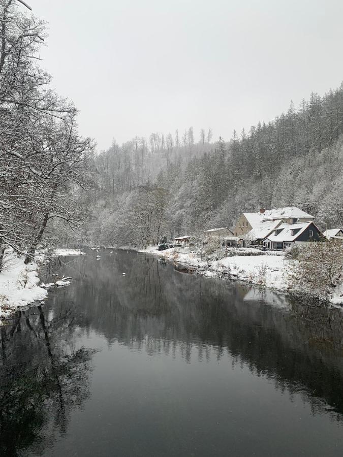 Ferienhaus Andrea Am Bodetal Treseburg Eksteriør billede
