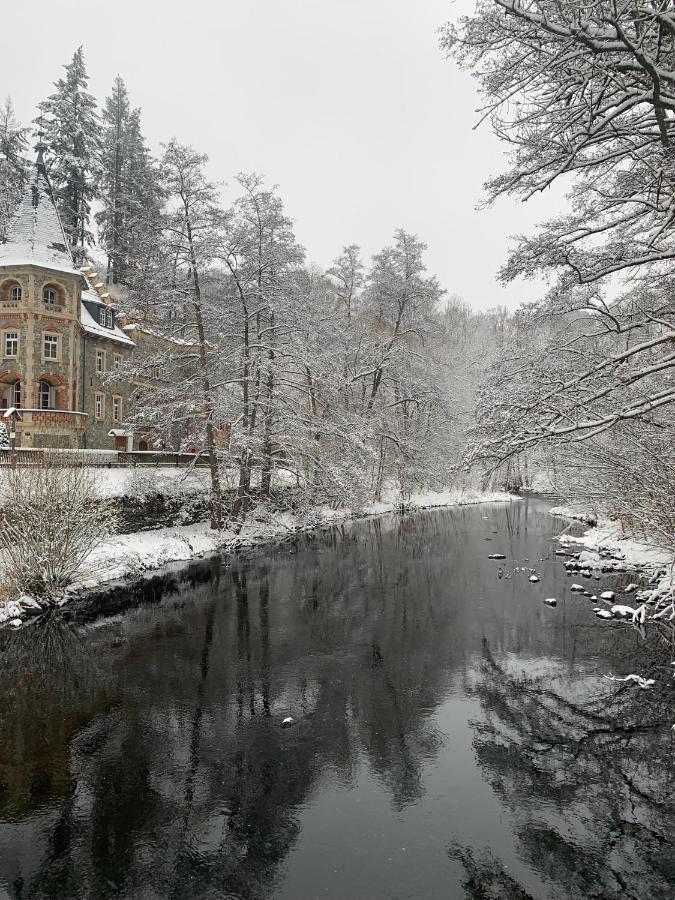 Ferienhaus Andrea Am Bodetal Treseburg Eksteriør billede